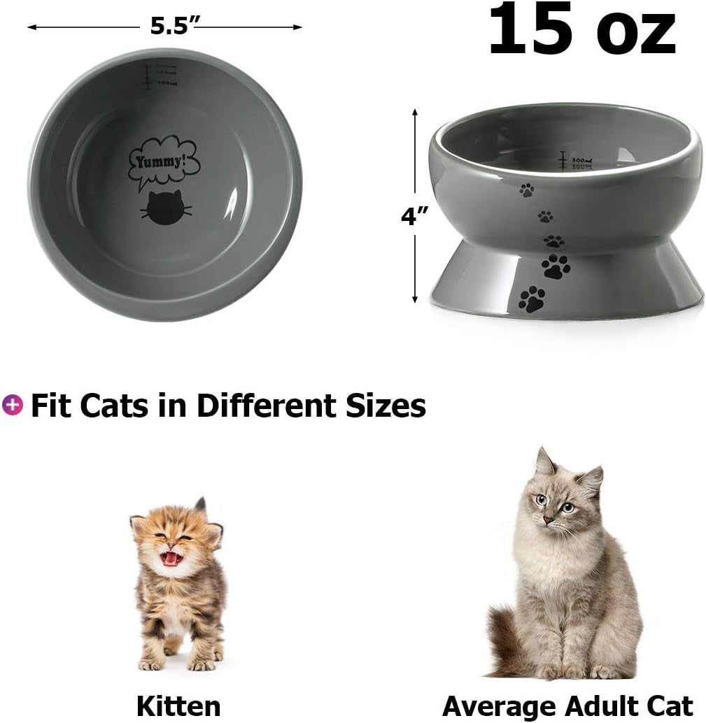 Elevated Cat Food Bowl, Raised Pet Food and Water Bowl, Ceramic, 15Oz