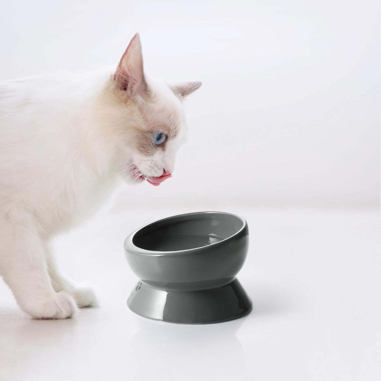 Elevated Cat Food Bowl, Raised Pet Food and Water Bowl, Ceramic, 15Oz