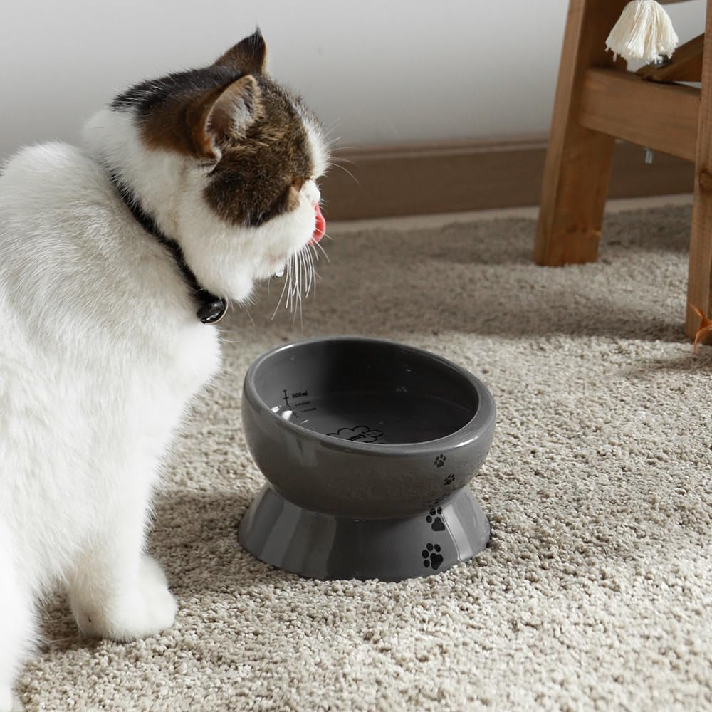 Elevated Cat Food Bowl, Raised Pet Food and Water Bowl, Ceramic, 15Oz