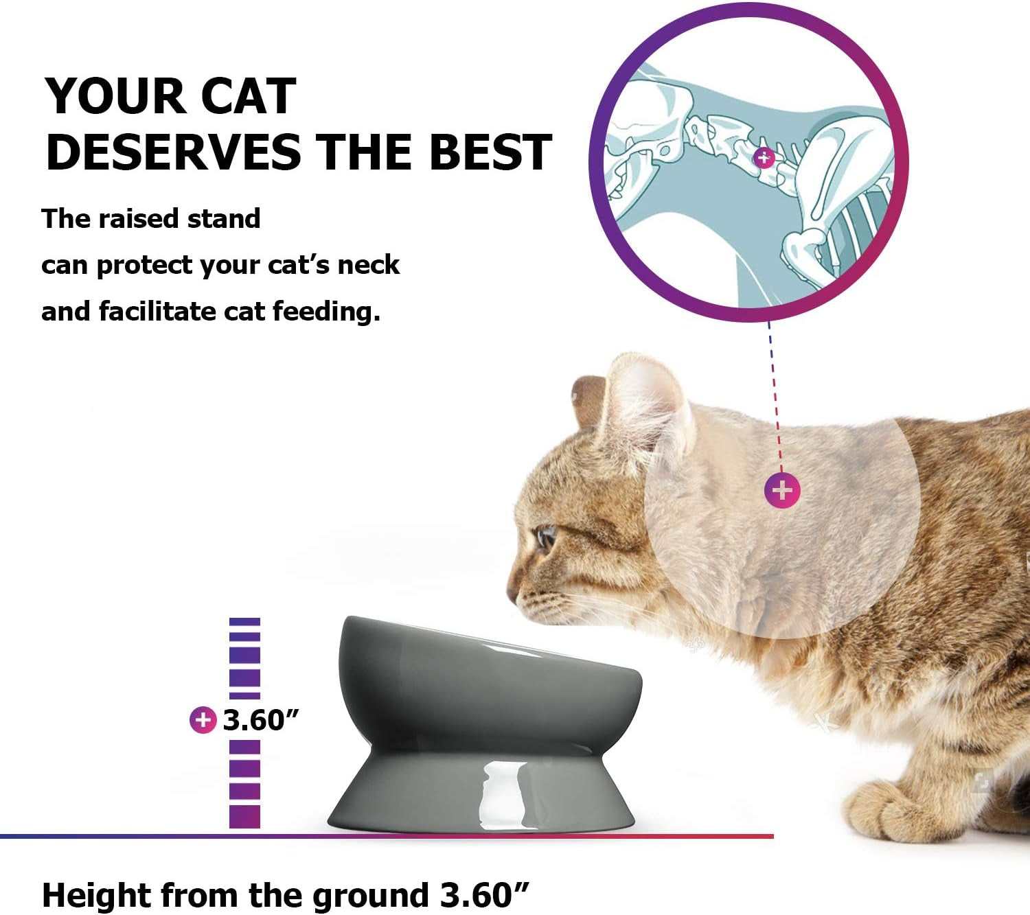 Elevated Cat Food Bowl, Raised Pet Food and Water Bowl, Ceramic, 15Oz